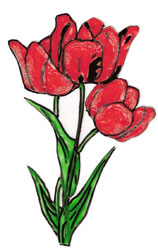 Bledine11