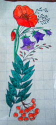 kaolla